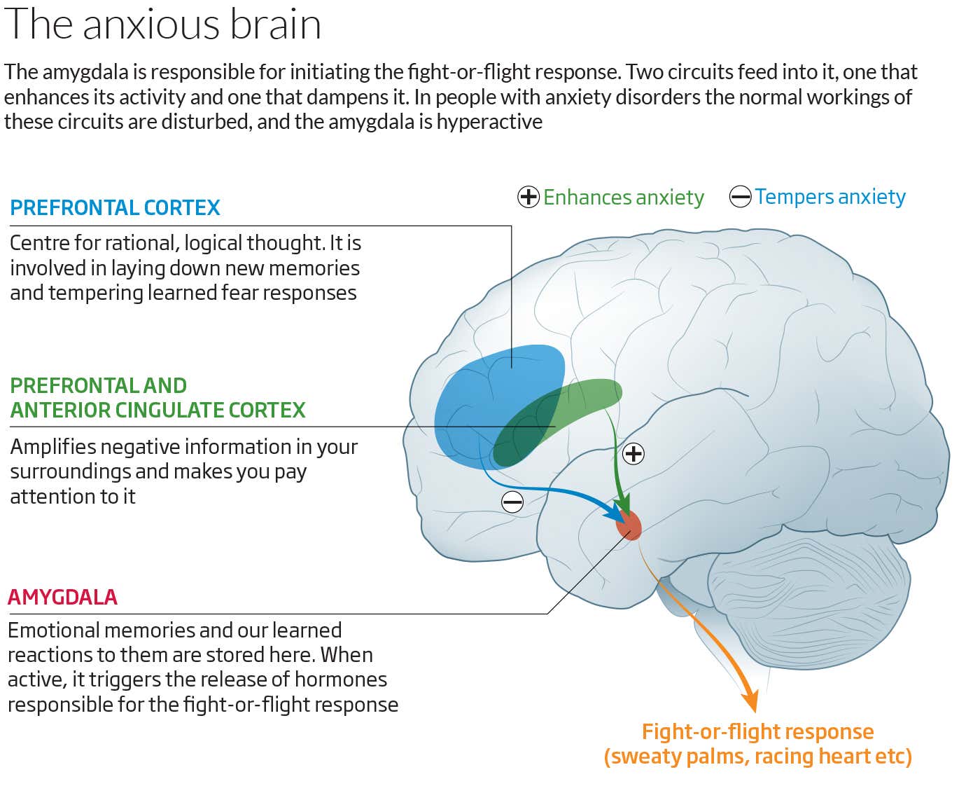 anxiety-dr-sonia-maxwell